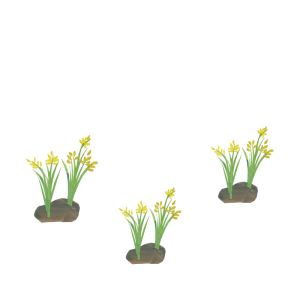 お米ができるまで