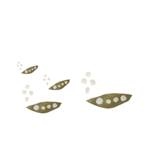 お米ができるまで